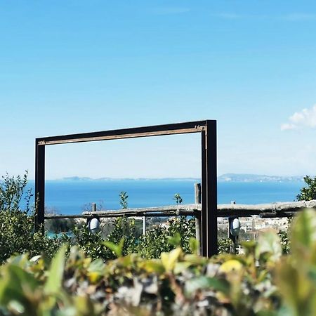 메타 Sara'S Sweet Corner B&B 외부 사진