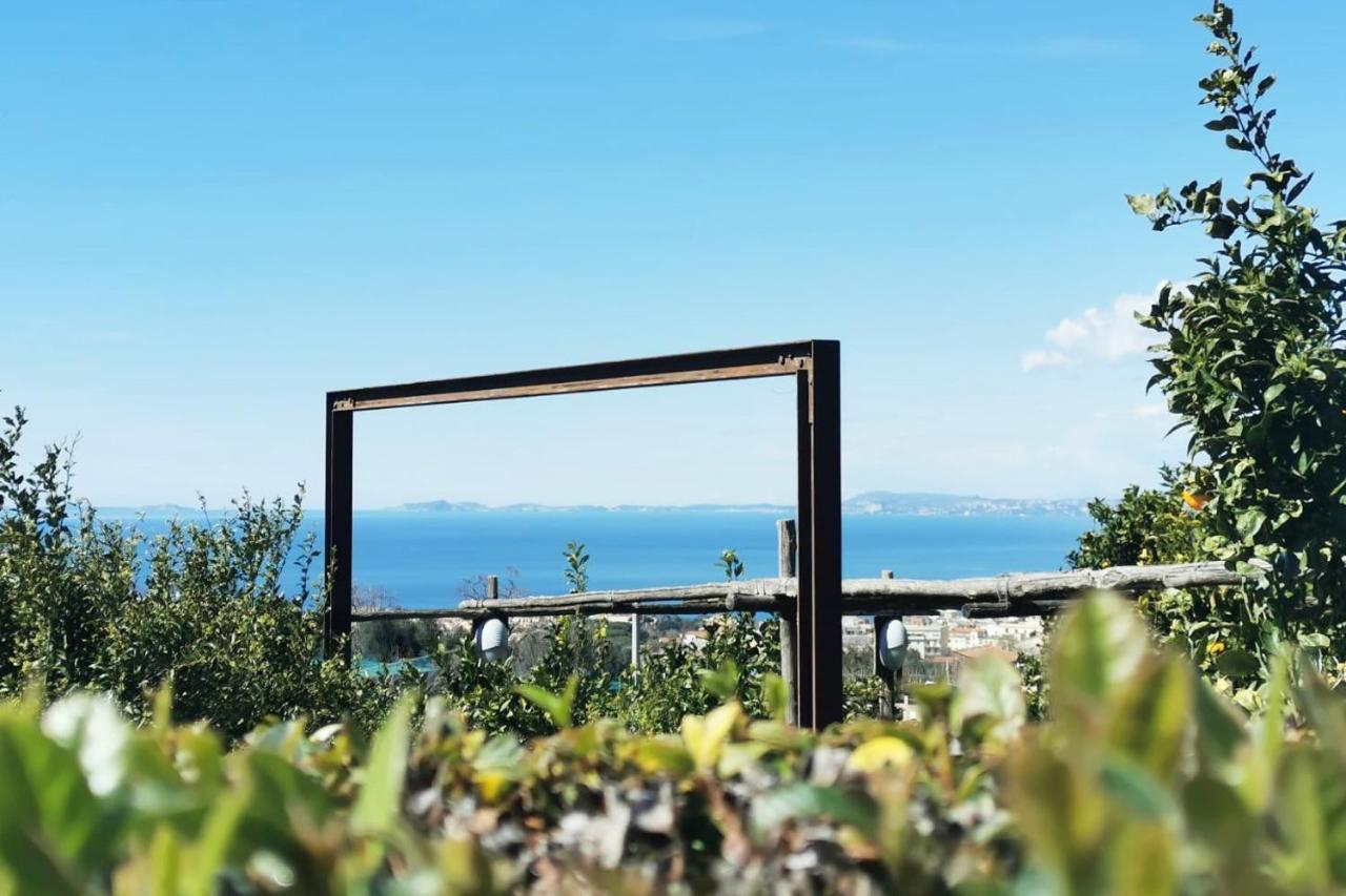 메타 Sara'S Sweet Corner B&B 외부 사진